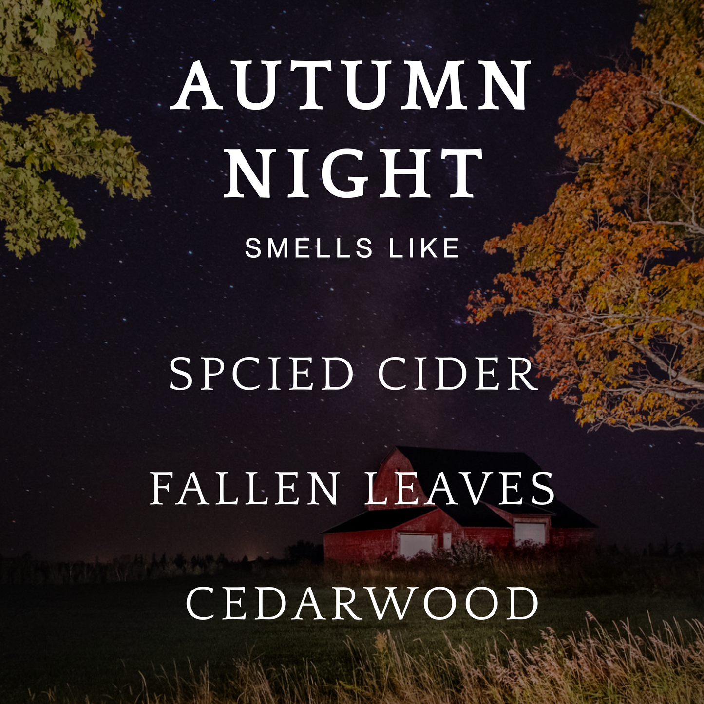 Autumn Night