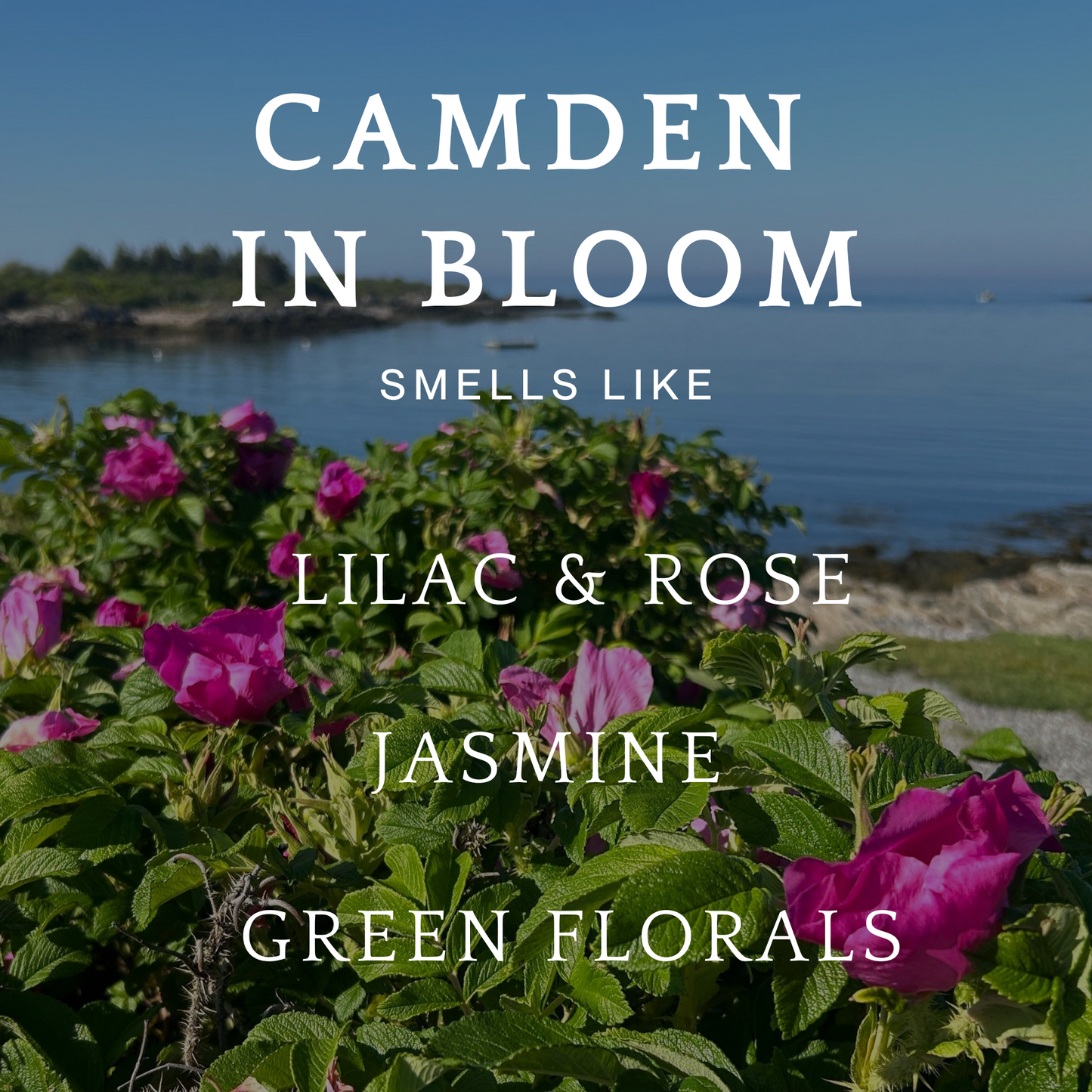 Camden in Bloom