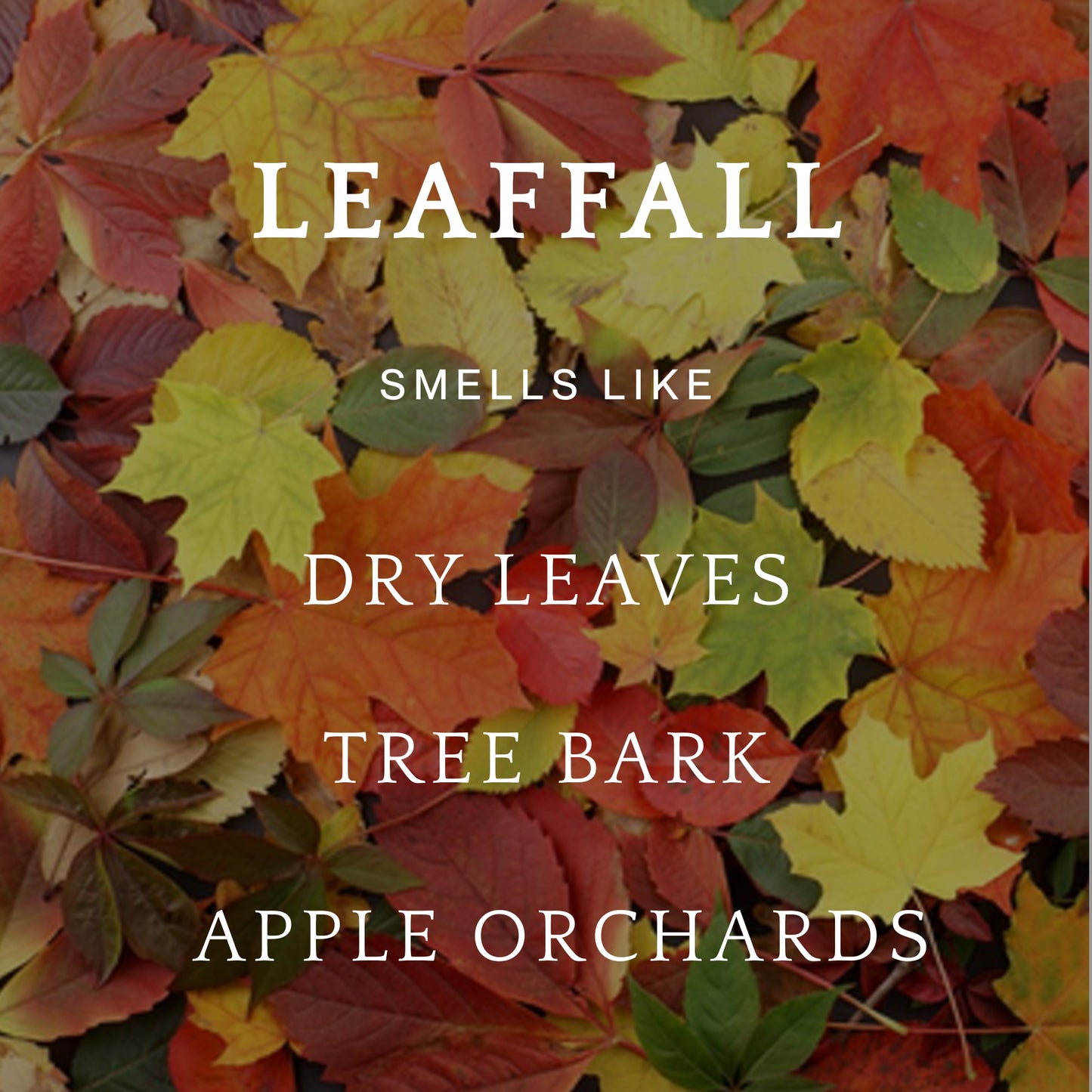 Leaffall