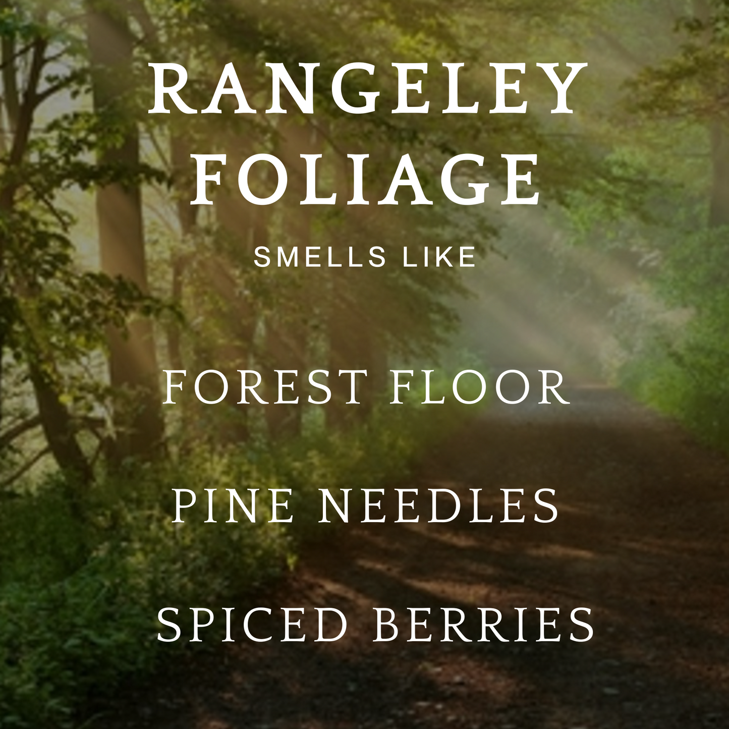 Rangeley Foliage
