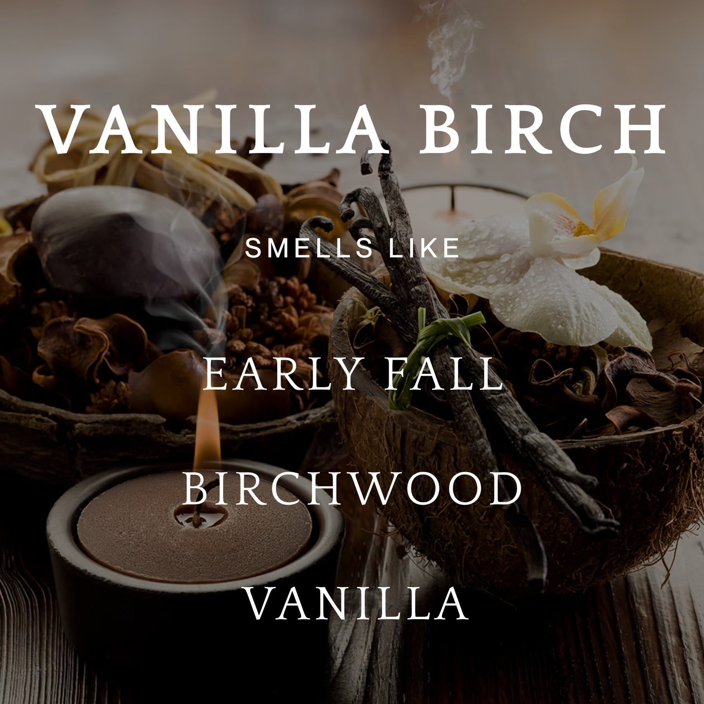 Vanilla Birch