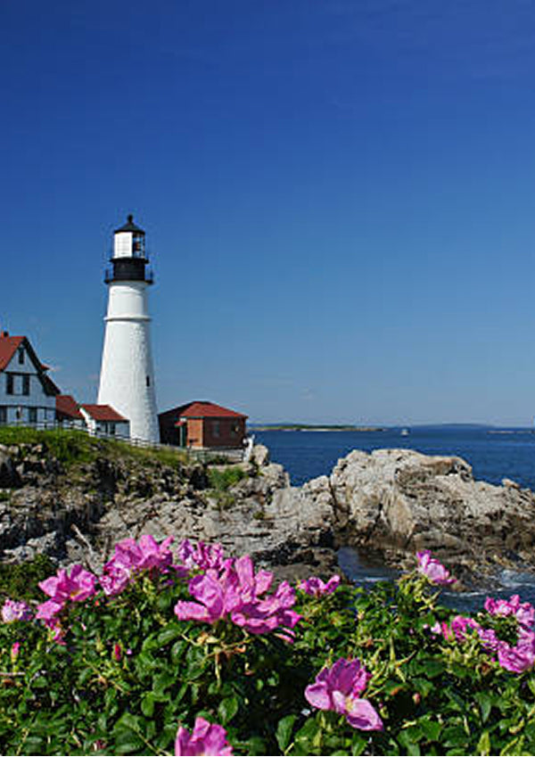 Spring Blossoms – Maine Glow Candle Co.