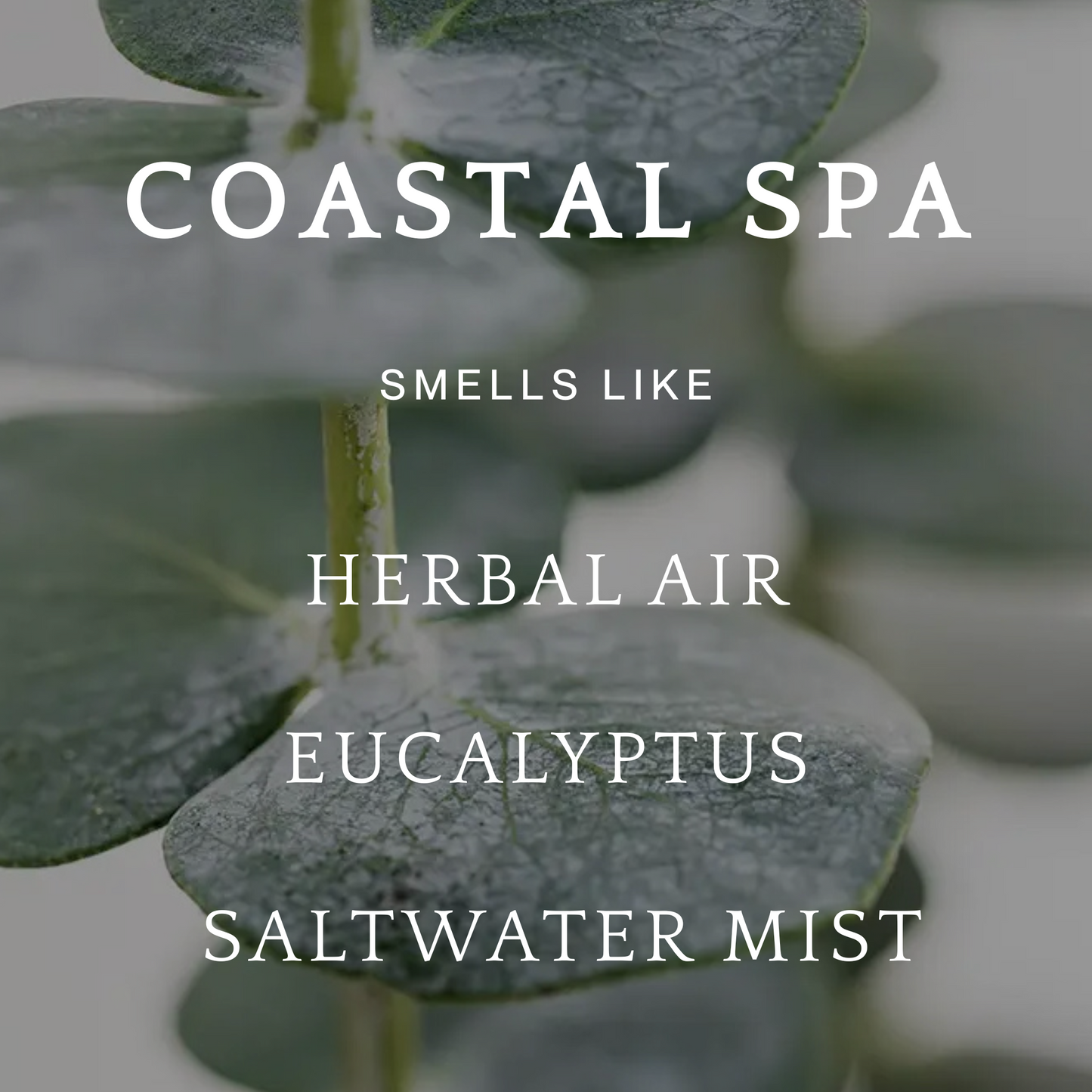 Coastal Spa